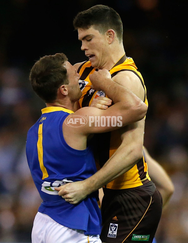 2015 VFL Grand Final - Williamstown v Box Hill - 406452