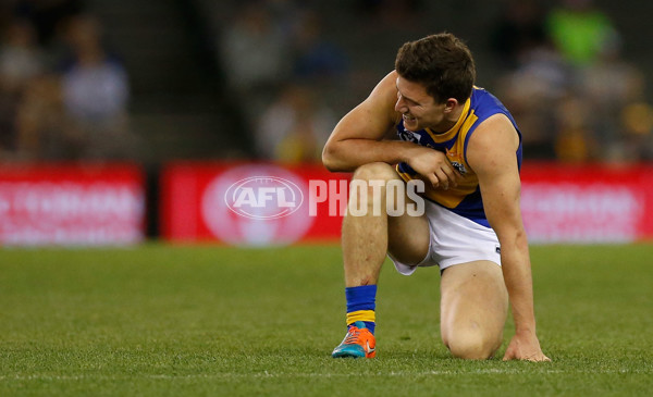 2015 VFL Grand Final - Williamstown v Box Hill - 406492