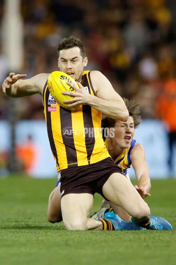 2015 VFL Grand Final - Williamstown v Box Hill - 406502