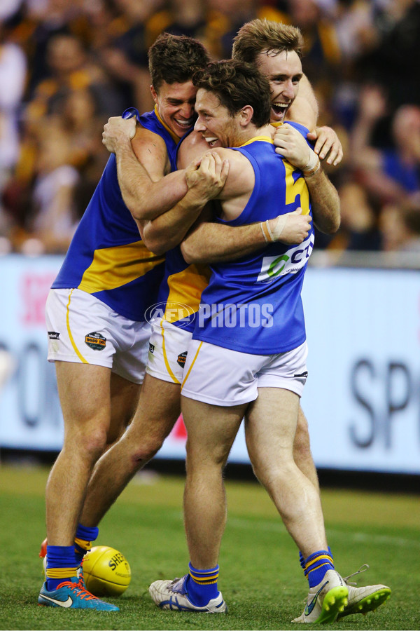 2015 VFL Grand Final - Williamstown v Box Hill - 406537