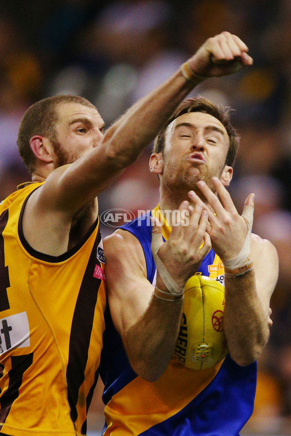 2015 VFL Grand Final - Williamstown v Box Hill - 406411