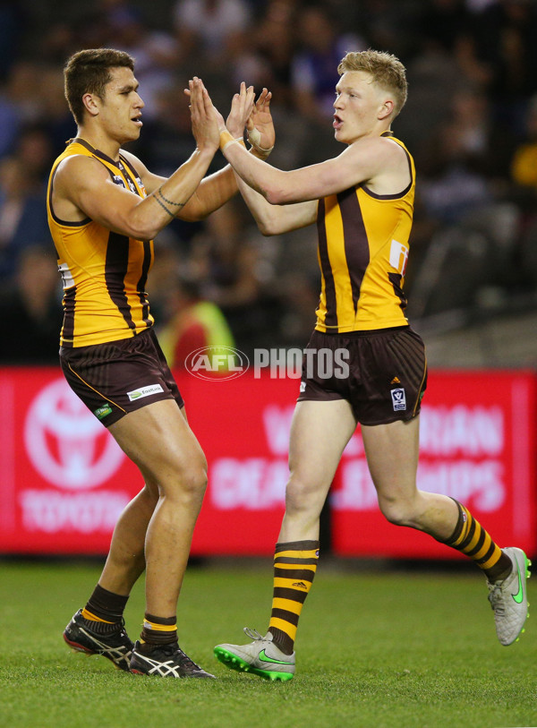 2015 VFL Grand Final - Williamstown v Box Hill - 406448