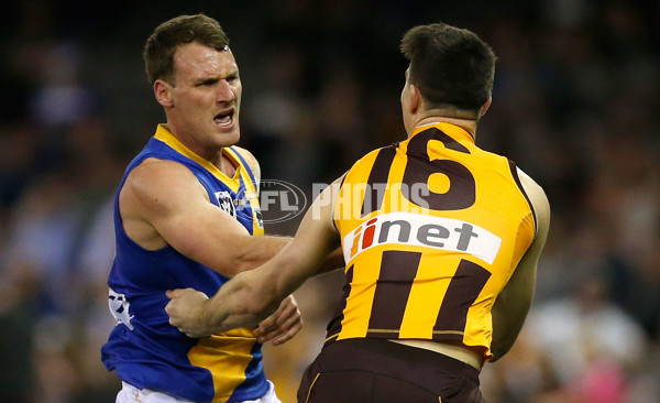 2015 VFL Grand Final - Williamstown v Box Hill - 406451