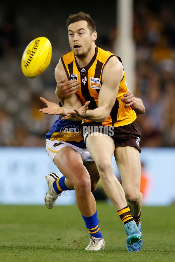 2015 VFL Grand Final - Williamstown v Box Hill - 406491