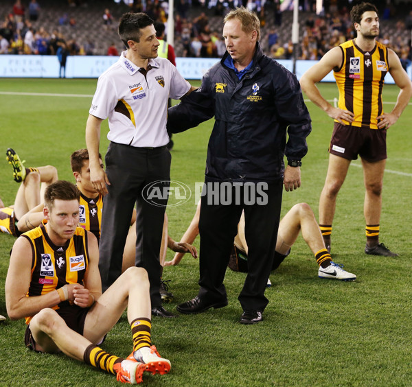 2015 VFL Grand Final - Williamstown v Box Hill - 406602