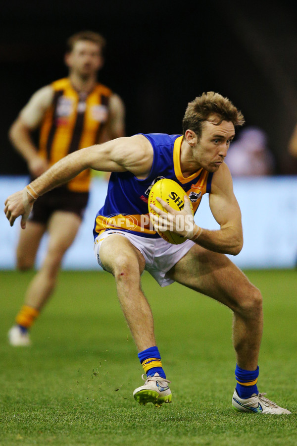 2015 VFL Grand Final - Williamstown v Box Hill - 406641