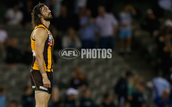 2015 VFL Grand Final - Williamstown v Box Hill - 406563