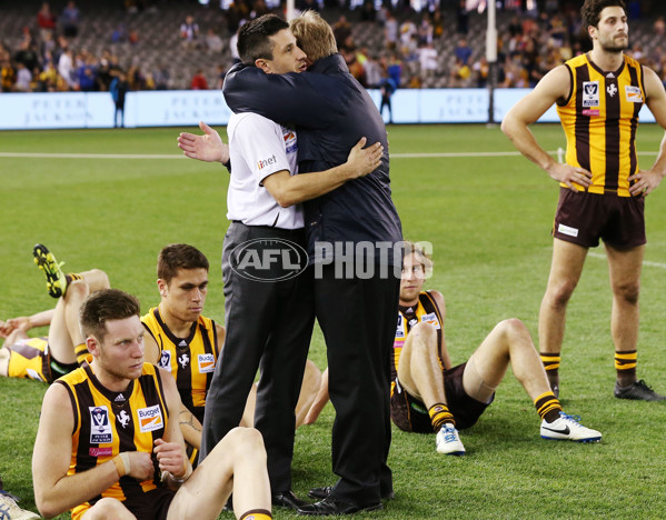 2015 VFL Grand Final - Williamstown v Box Hill - 406601