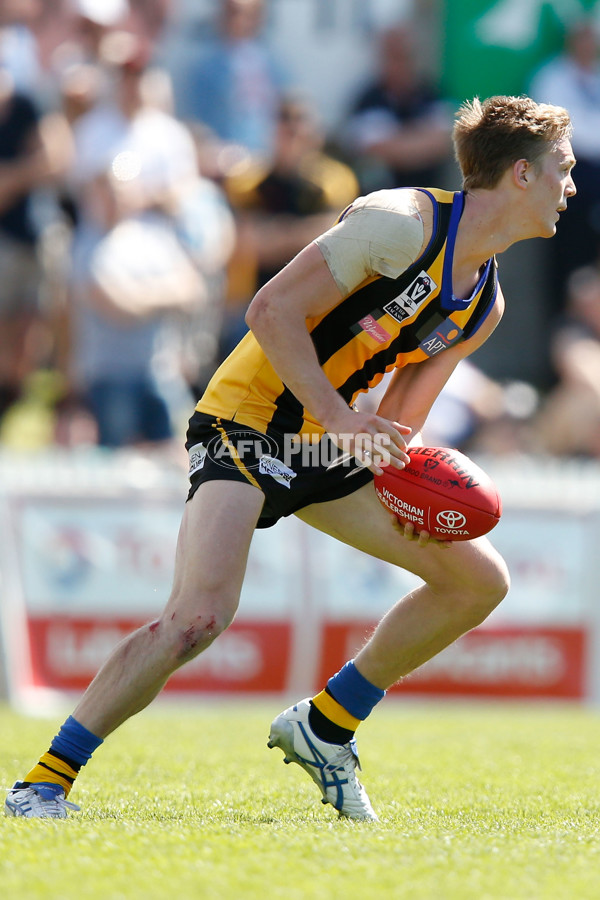 VFL 2015 2nd Semi Final - Sandringham v Collingwood - 403304