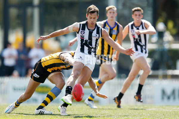 VFL 2015 2nd Semi Final - Sandringham v Collingwood - 403335