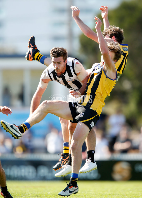 VFL 2015 2nd Semi Final - Sandringham v Collingwood - 403340