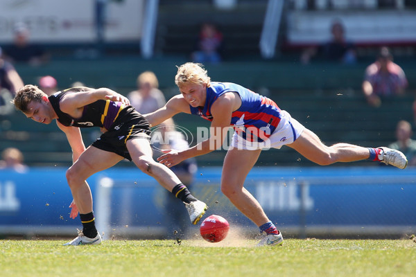 TAC 2015 2nd Semi Final - Murray Bushrangers v Oakleigh Chargers - A-24917939