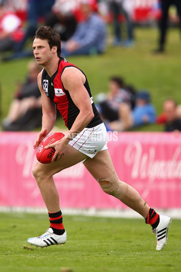 VFL 2015 1st Semi Final - Footscray Bulldogs v Essendon - 403771