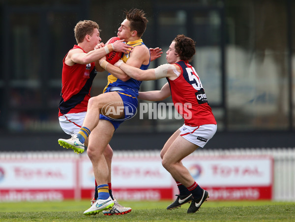 AFL Victoria Development League Preliminary Final 2015 - Williamstown v Coburg - 403925