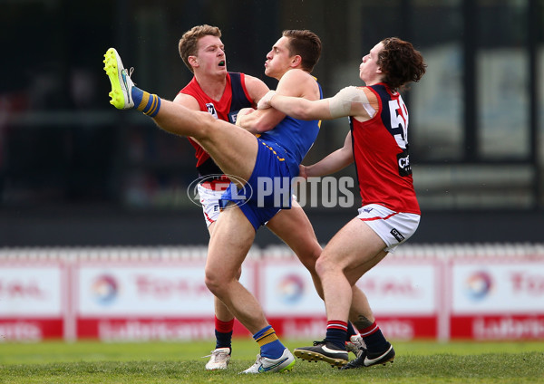 AFL Victoria Development League Preliminary Final 2015 - Williamstown v Coburg - A-24923165
