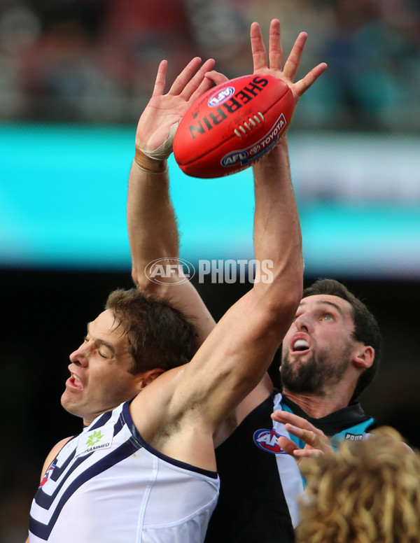 AFL 2014 Rd 08 - Port Adelaide v Fremantle - 326694