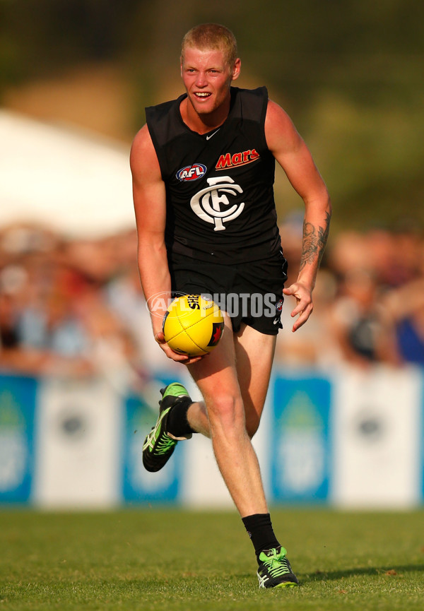 AFL 2014 NAB Challenge - North Melbourne v Carlton - 313485