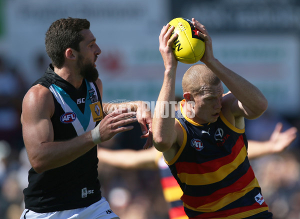 AFL 2014 NAB Challenge - Adelaide v Port Adelaide - 313593