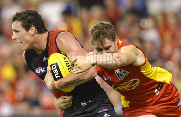 AFL 2014 NAB Challenge - Gold Coast v Essendon - 313692