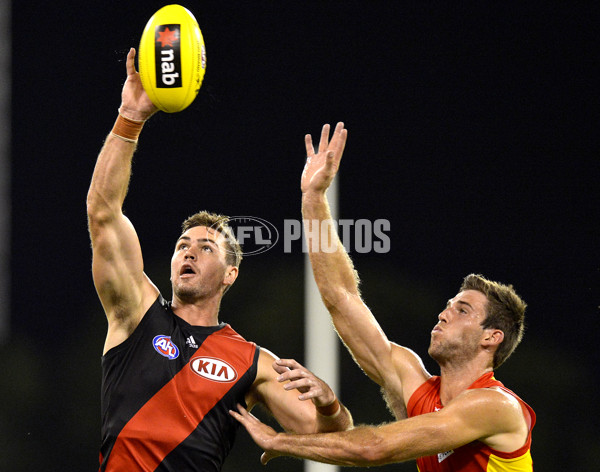 AFL 2014 NAB Challenge - Gold Coast v Essendon - 313683