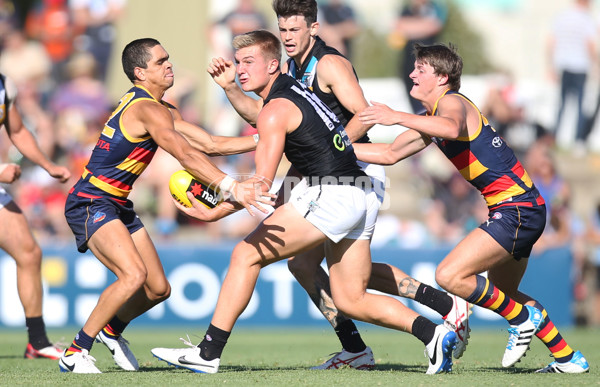 AFL 2014 NAB Challenge - Adelaide v Port Adelaide - 313591