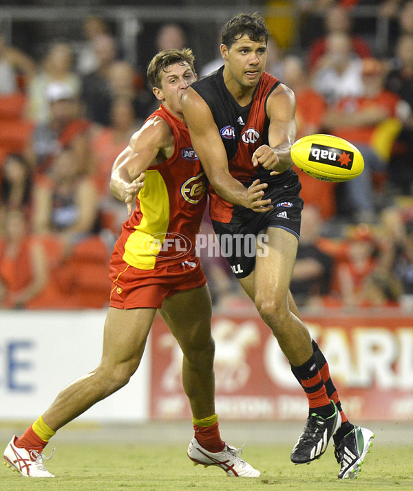 AFL 2014 NAB Challenge - Gold Coast v Essendon - 313676