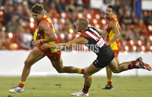 AFL 2014 NAB Challenge - Gold Coast v Essendon - 313677