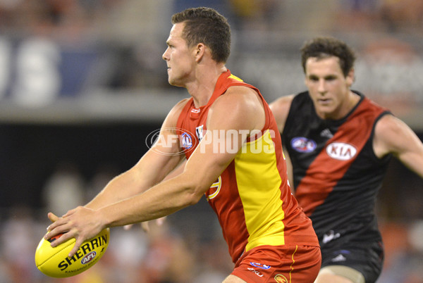 AFL 2014 NAB Challenge - Gold Coast v Essendon - 313690