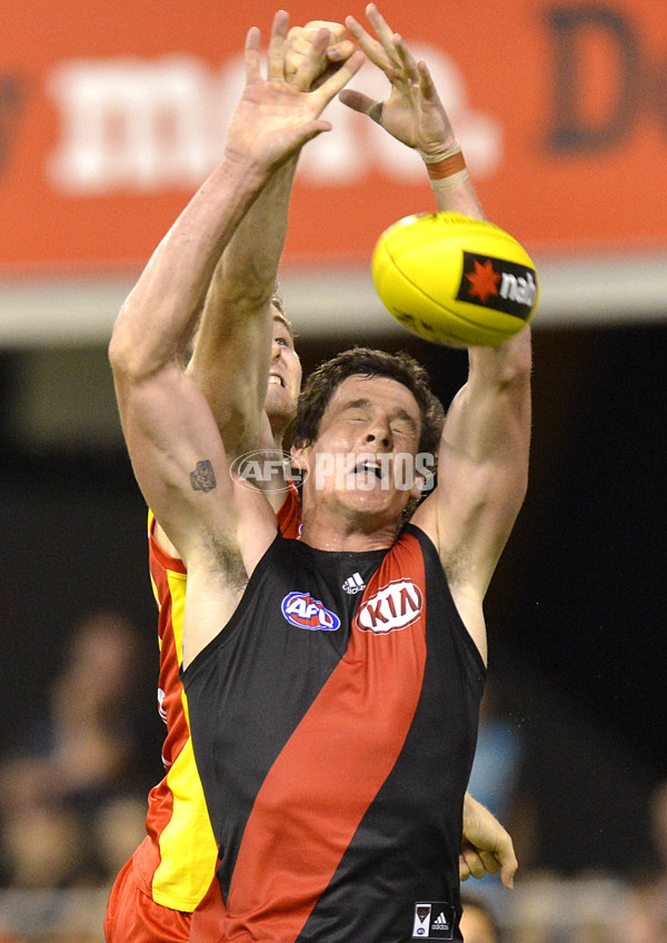 AFL 2014 NAB Challenge - Gold Coast v Essendon - 313691