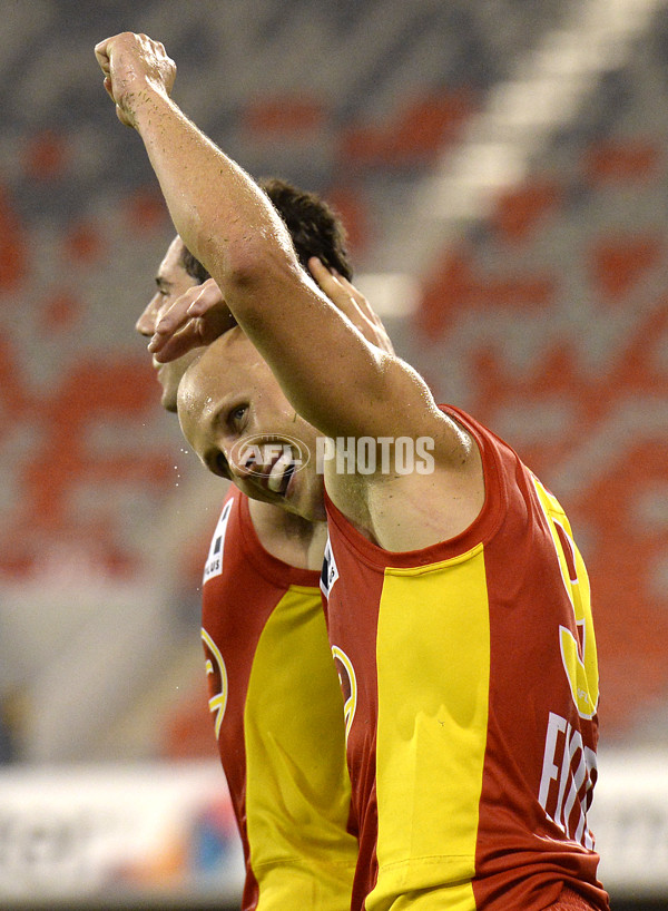 AFL 2014 NAB Challenge - Gold Coast v Essendon - 313700