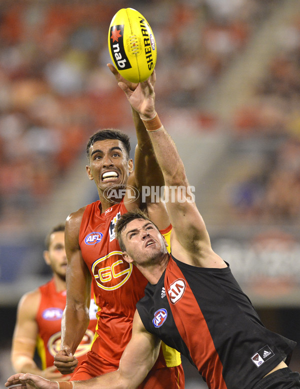 AFL 2014 NAB Challenge - Gold Coast v Essendon - 313695