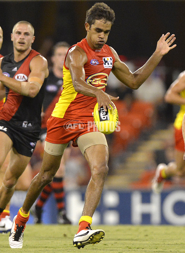 AFL 2014 NAB Challenge - Gold Coast v Essendon - 313712