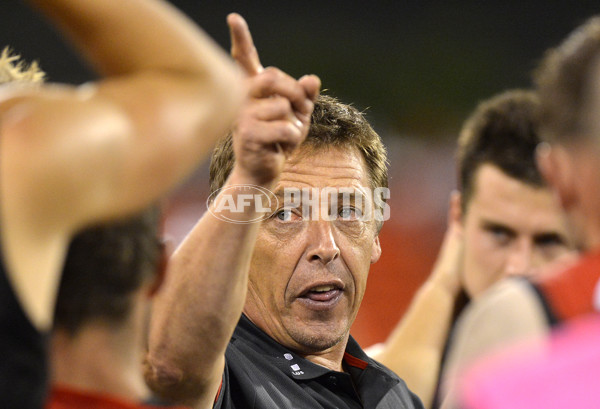 AFL 2014 NAB Challenge - Gold Coast v Essendon - 313698
