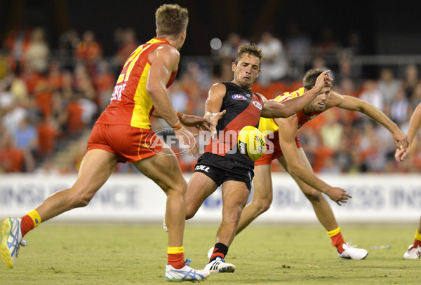 AFL 2014 NAB Challenge - Gold Coast v Essendon - 313708