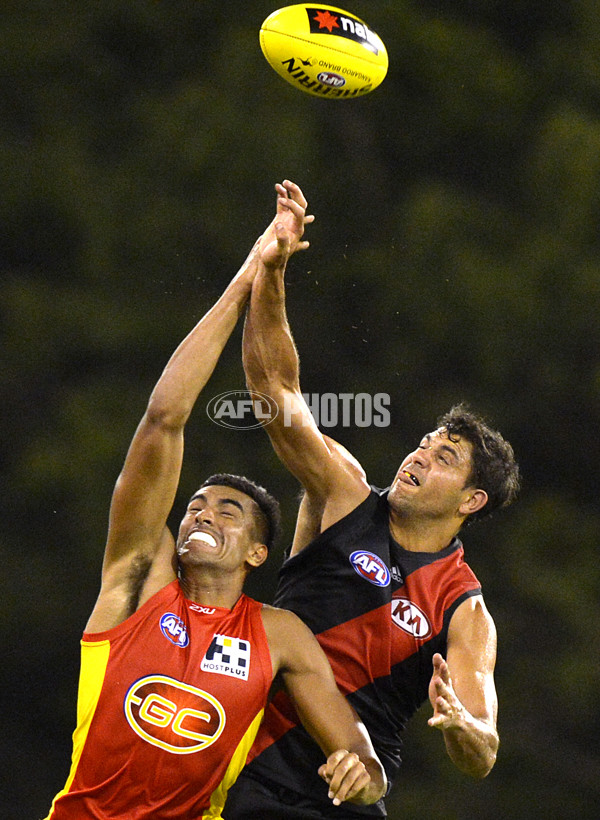 AFL 2014 NAB Challenge - Gold Coast v Essendon - 313705
