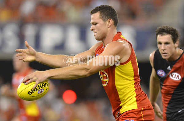 AFL 2014 NAB Challenge - Gold Coast v Essendon - 313711