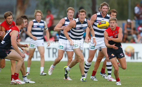 AFL 2014 NAB Challenge - Melbourne v Geelong - 315263