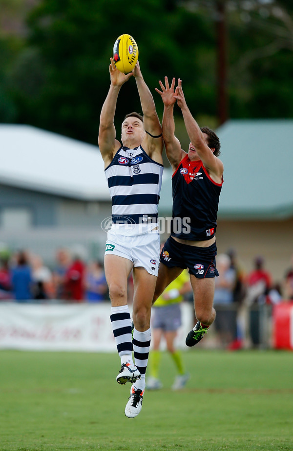 AFL 2014 NAB Challenge - Melbourne v Geelong - 315273