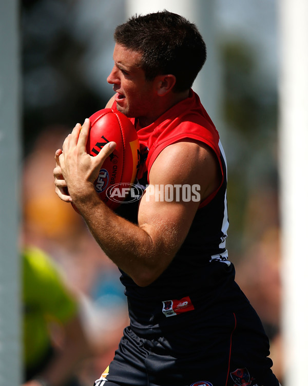 AFL 2014 Practice Match - Melbourne v Hawthorn - 316382