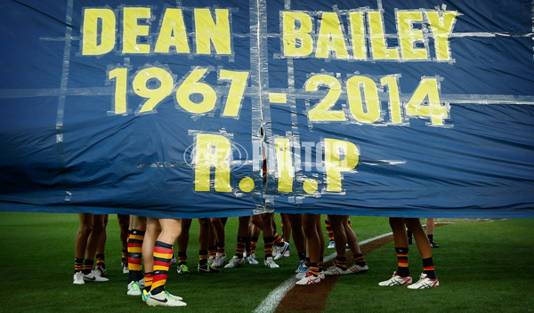 AFL 2014 Rd 01 - Geelong v Adelaide - 317539