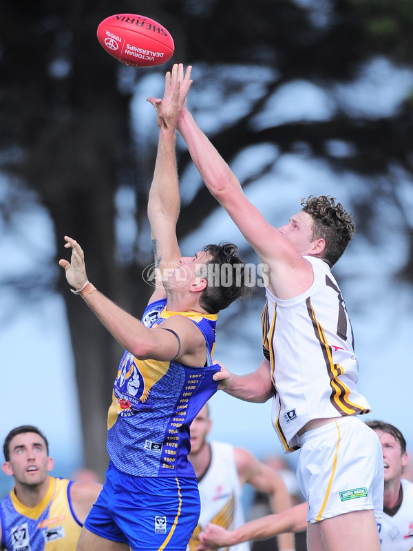 VFL 2014 Rd 01 - Williamstown v Box Hill Hawks - 318672