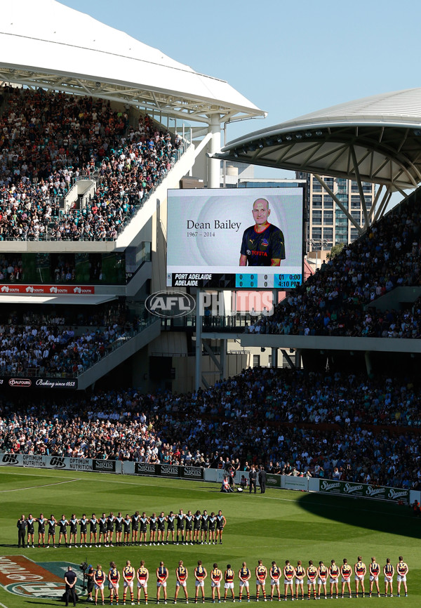 AFL 2014 Rd 02 - Port Adelaide v Adelaide - 318911