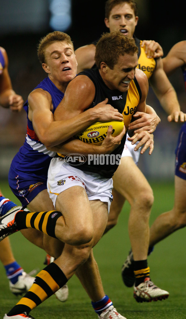 AFL 2014 Rd 03 - Western Bulldogs v Richmond - 319918