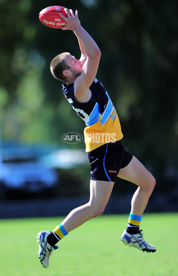 TAC Cup 2014 Rd 04 - Bendigo Pioneers v Dandenong Stingrays - 321261