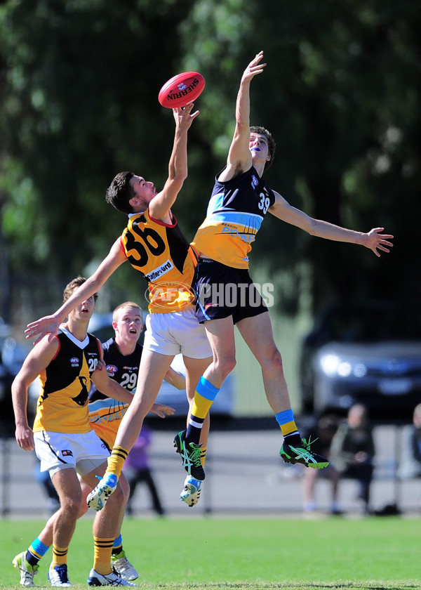 TAC Cup 2014 Rd 04 - Bendigo Pioneers v Dandenong Stingrays - 321269