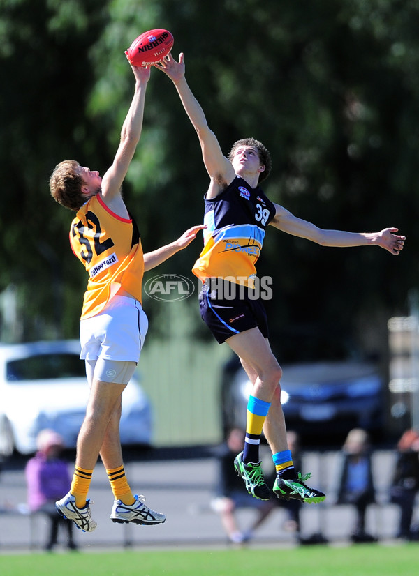 TAC Cup 2014 Rd 04 - Bendigo Pioneers v Dandenong Stingrays - 321262