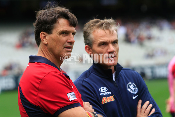 AFL 2014 Rd 04 - Carlton v Melbourne - 321356