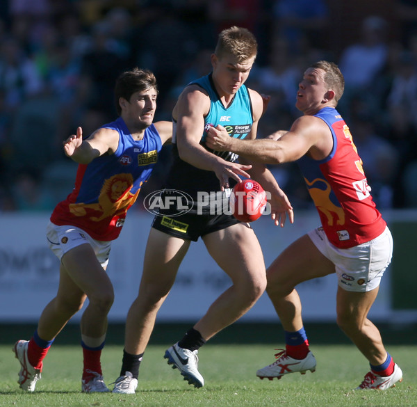 AFL 2014 Rd 04 - Port Adelaide v Brisbane - 321501