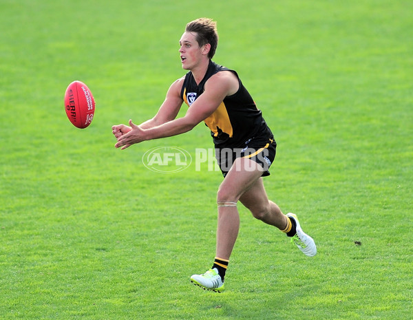 VFL 2014 Rd 02 - Werribee v Bendigo - 321952