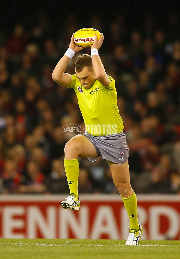 AFL 2014 Rd 05 - Essendon v St Kilda - 322793